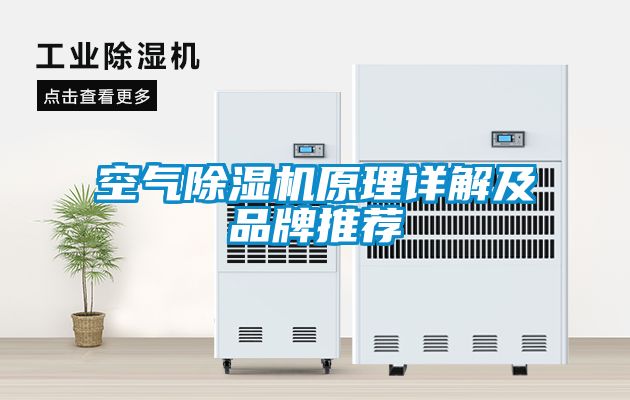 空氣除濕機原理詳解及品牌推薦