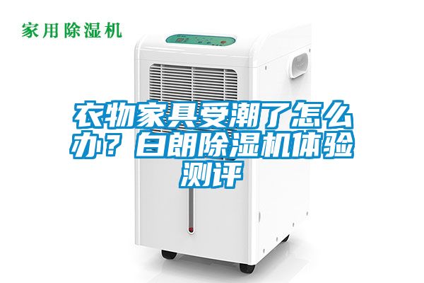 衣物家具受潮了怎么辦？白朗除濕機體驗測評