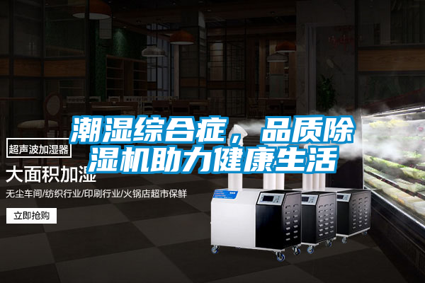 潮濕綜合癥，品質除濕機助力健康生活