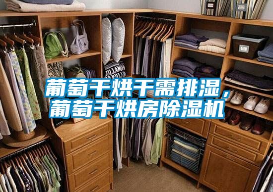 葡萄干烘干需排濕，葡萄干烘房除濕機