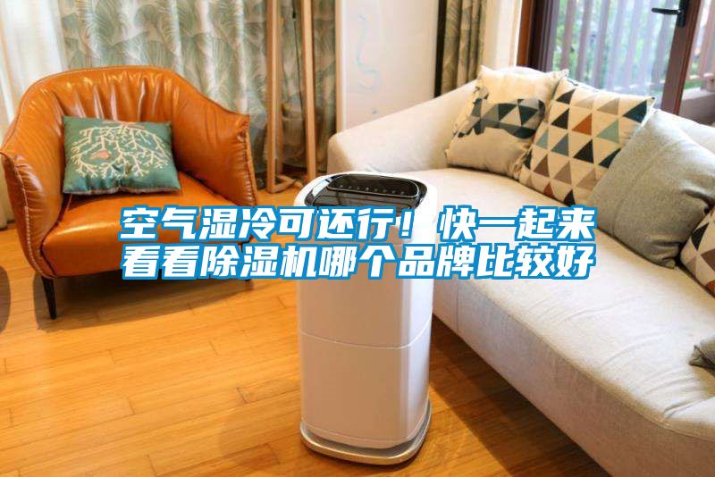 空氣濕冷可還行！快一起來看看除濕機哪個品牌比較好