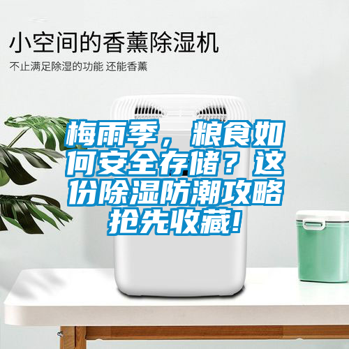 梅雨季，糧食如何安全存儲？這份除濕防潮攻略搶先收藏!
