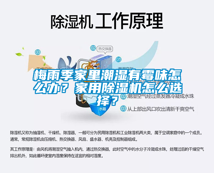 梅雨季家里潮濕有霉味怎么辦？家用除濕機怎么選擇？