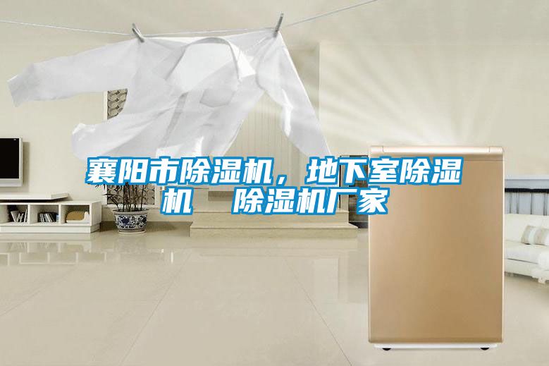 襄陽市除濕機，地下室除濕機  除濕機廠家
