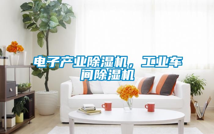 電子產業除濕機，工業車間除濕機