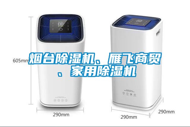 煙臺除濕機、雁飛商貿、家用除濕機