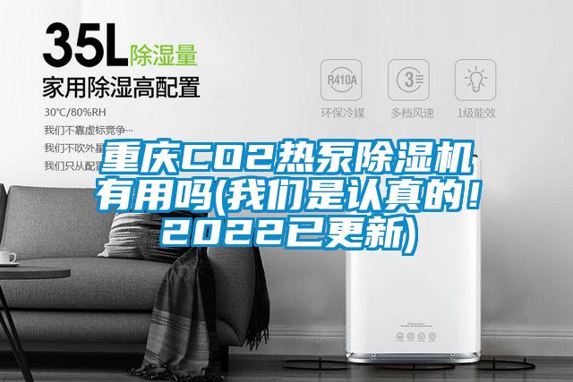 重慶CO2熱泵除濕機有用嗎(我們是認真的！2022已更新)