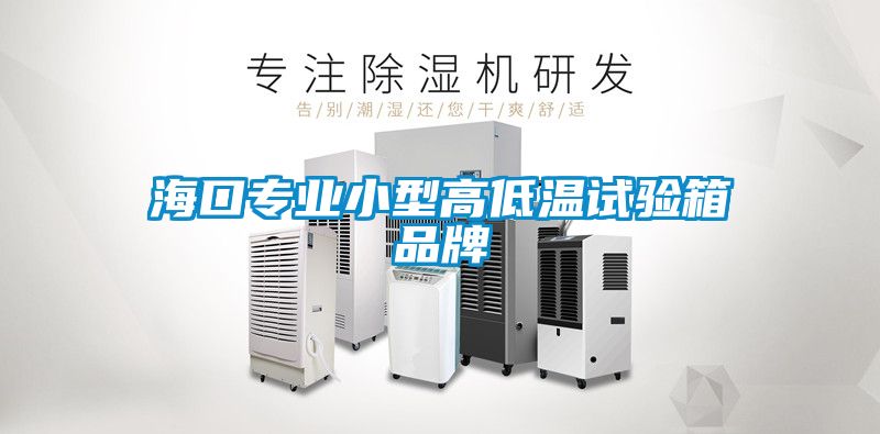 ?？趯I小型高低溫試驗箱品牌
