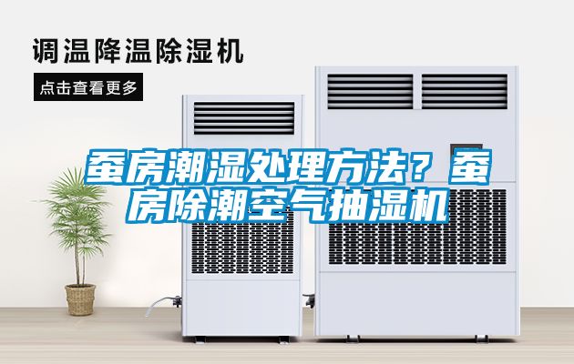 蠶房潮濕處理方法？蠶房除潮空氣抽濕機