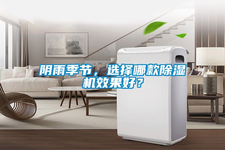 陰雨季節，選擇哪款除濕機效果好？