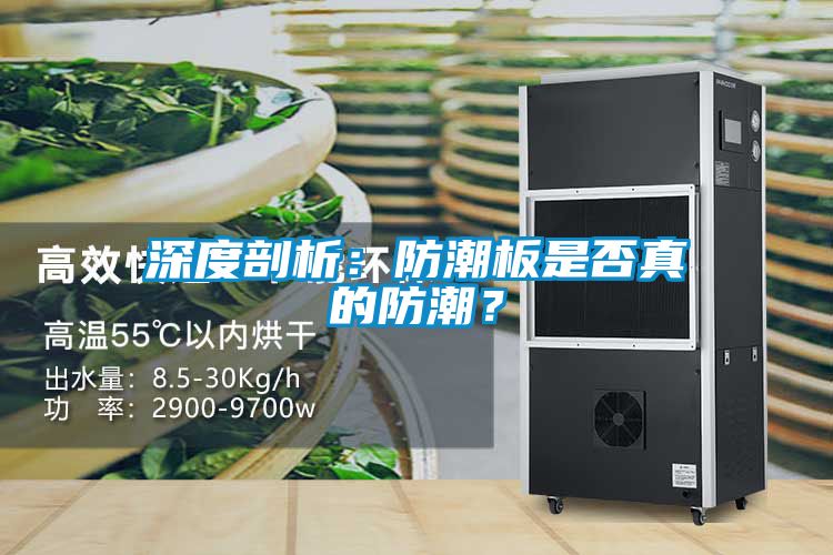 深度剖析：防潮板是否真的防潮？
