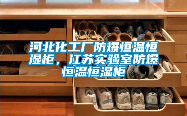 河北化工廠防爆恒溫恒濕柜，江蘇實驗室防爆恒溫恒濕柜
