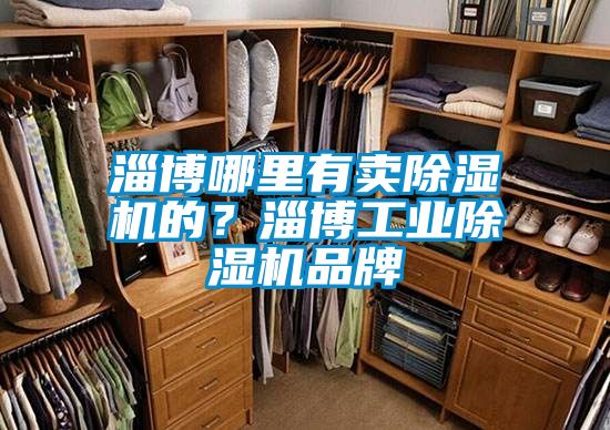 淄博哪里有賣除濕機的？淄博工業除濕機品牌