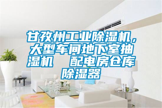 甘孜州工業除濕機，大型車間地下室抽濕機  配電房倉庫除濕器