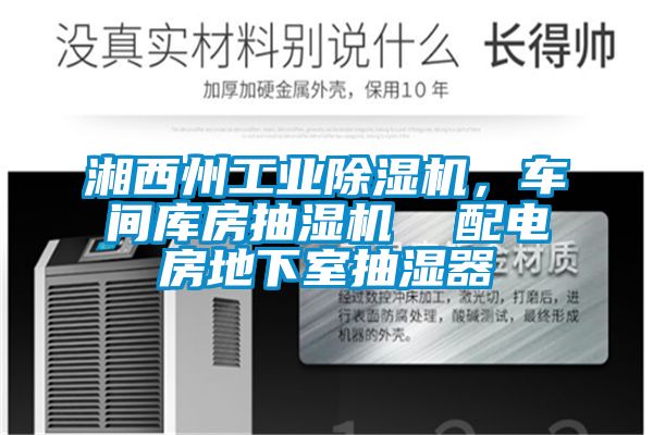 湘西州工業除濕機，車間庫房抽濕機  配電房地下室抽濕器