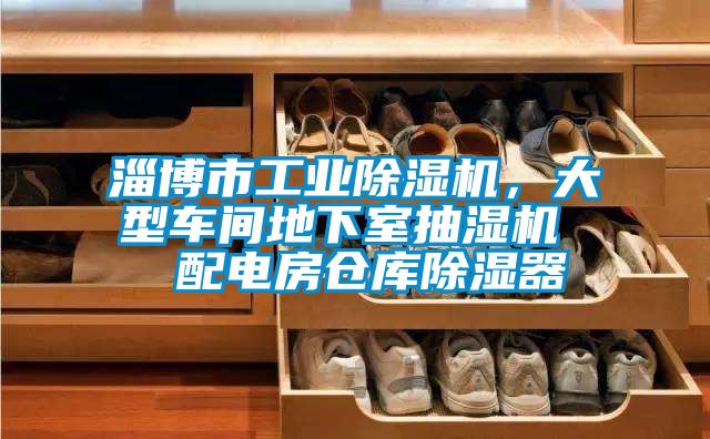 淄博市工業除濕機，大型車間地下室抽濕機  配電房倉庫除濕器