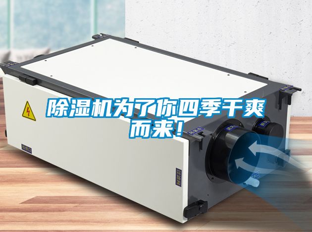 除濕機為了你四季干爽而來！