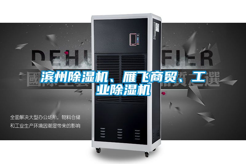 濱州除濕機、雁飛商貿、工業除濕機