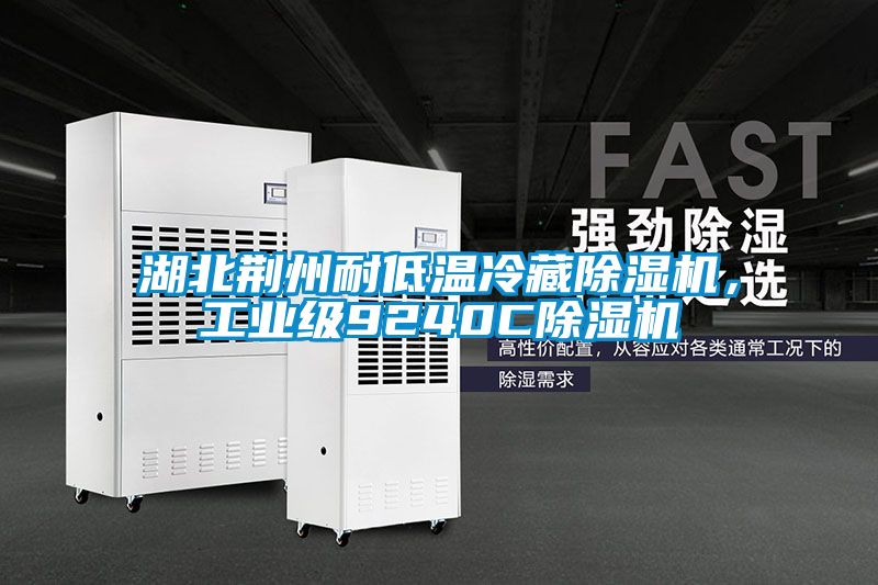 湖北荊州耐低溫冷藏除濕機，工業級9240C除濕機