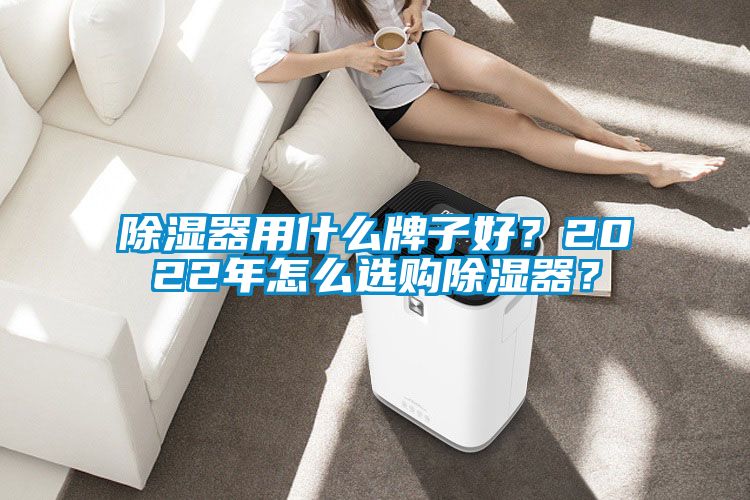 除濕器用什么牌子好？2022年怎么選購除濕器？