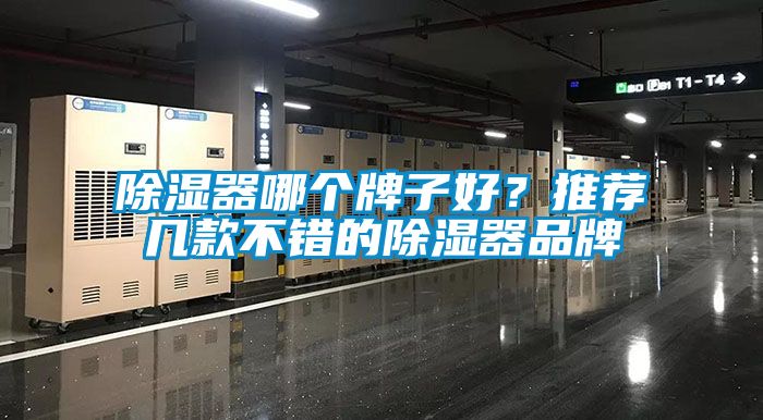除濕器哪個牌子好？推薦幾款不錯的除濕器品牌