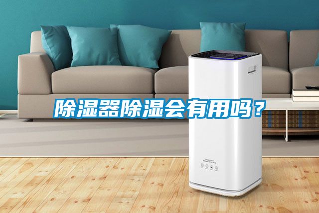 除濕器除濕會有用嗎？