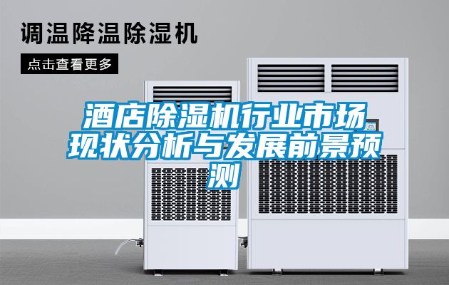 酒店除濕機行業市場現狀分析與發展前景預測