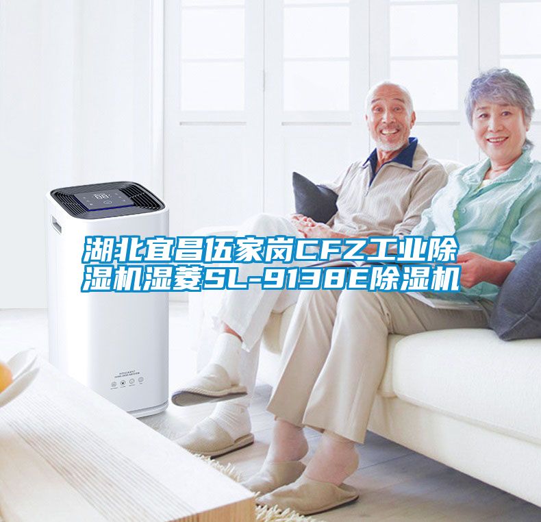 湖北宜昌伍家崗CFZ工業除濕機濕菱SL-9138E除濕機