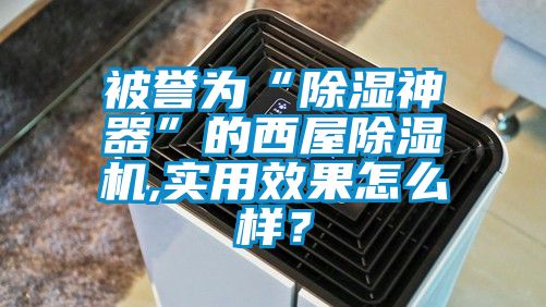 被譽為“除濕神器”的西屋除濕機,實用效果怎么樣？