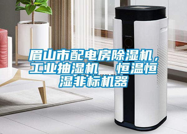 眉山市配電房除濕機，工業抽濕機  恒溫恒濕非標機器