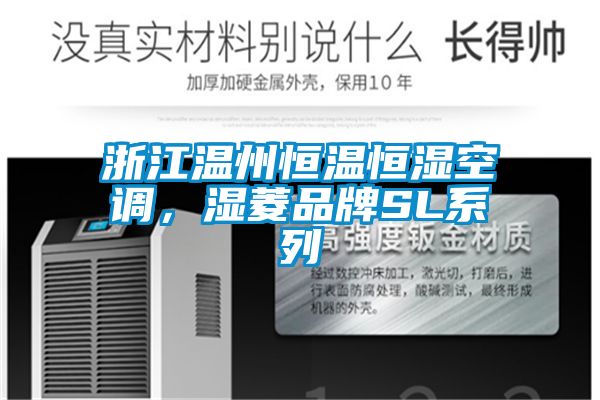 浙江溫州恒溫恒濕空調，濕菱品牌SL系列