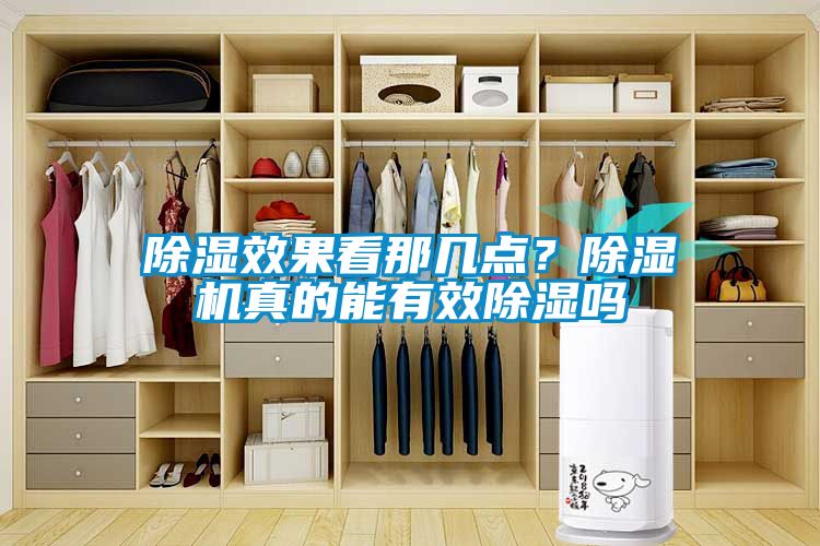 除濕效果看那幾點？除濕機真的能有效除濕嗎