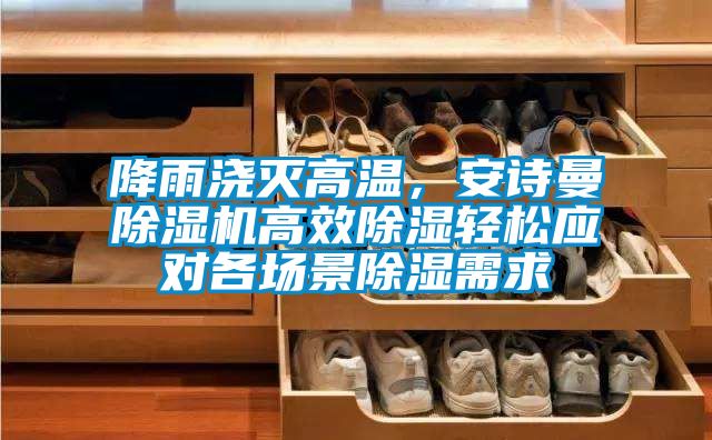 降雨澆滅高溫，安詩曼除濕機高效除濕輕松應對各場景除濕需求