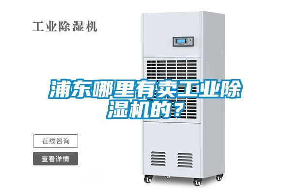 浦東哪里有賣工業除濕機的？