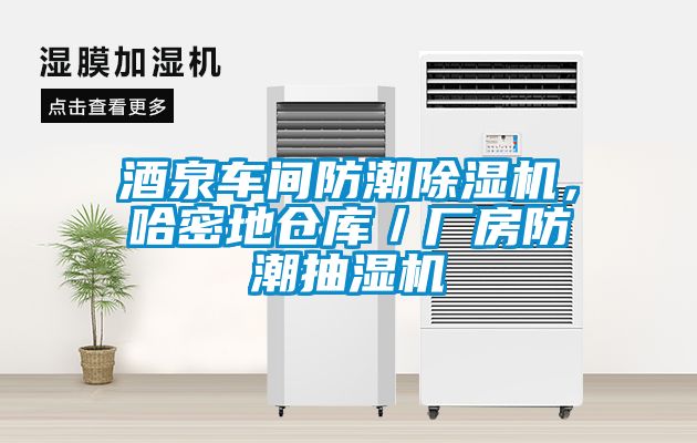 酒泉車間防潮除濕機，哈密地倉庫／廠房防潮抽濕機