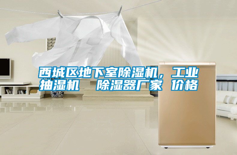 西城區地下室除濕機，工業抽濕機  除濕器廠家 價格