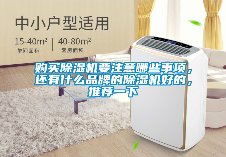購買除濕機要注意哪些事項，還有什么品牌的除濕機好的，推薦一下