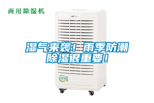 濕氣來襲！雨季防潮除濕很重要！