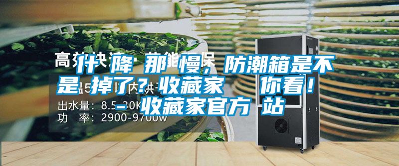 為什麼降濕那麼慢，防潮箱是不是壞掉了？收藏家實測給你看！ - 收藏家官方網站