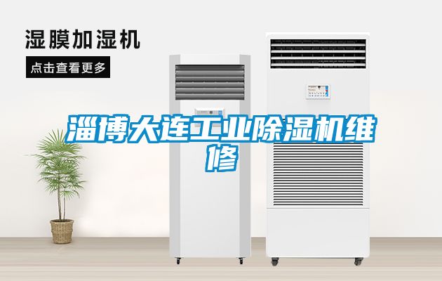 淄博大連工業除濕機維修