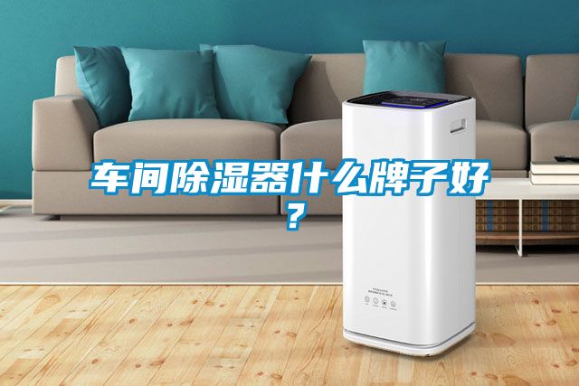車間除濕器什么牌子好？