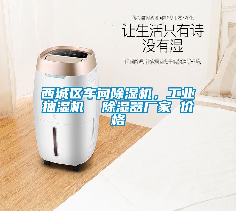 西城區車間除濕機，工業抽濕機  除濕器廠家 價格