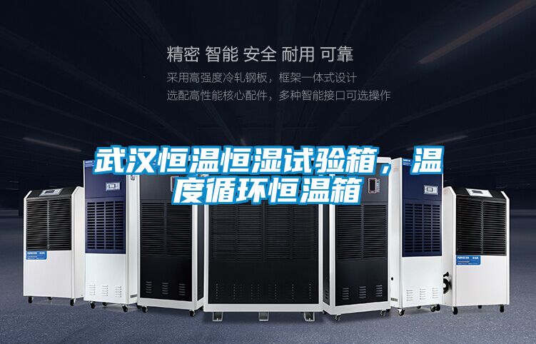 武漢恒溫恒濕試驗箱，溫度循環恒溫箱