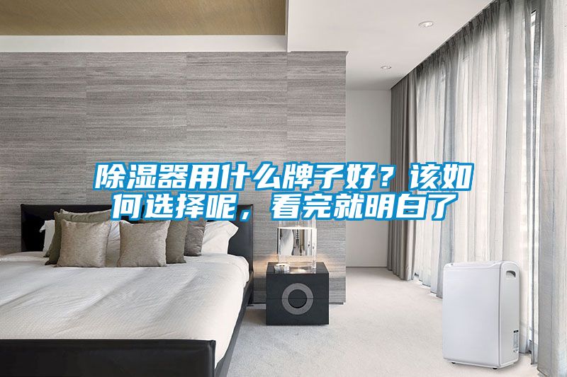 除濕器用什么牌子好？該如何選擇呢，看完就明白了