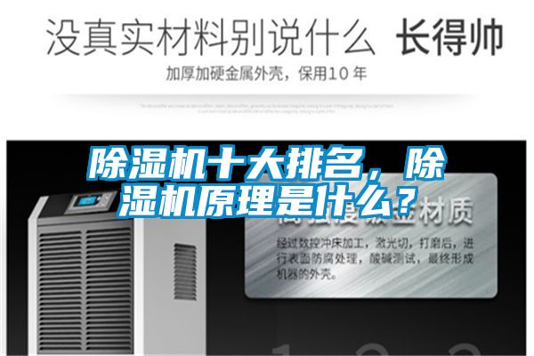除濕機十大排名，除濕機原理是什么？