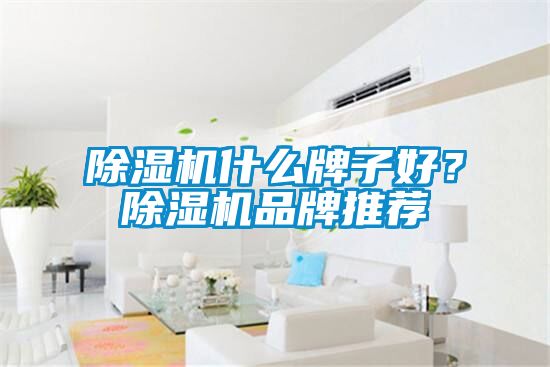 除濕機什么牌子好？除濕機品牌推薦