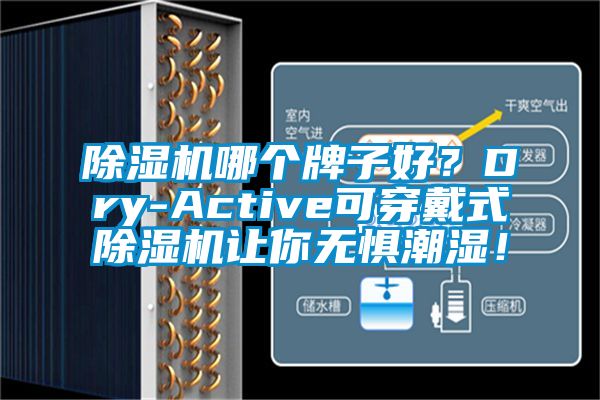 除濕機哪個牌子好？Dry-Active可穿戴式除濕機讓你無懼潮濕！