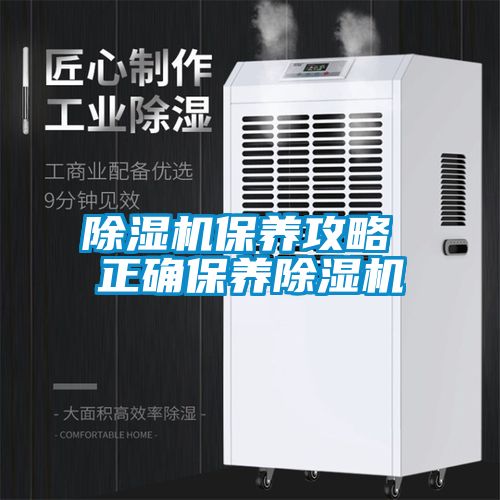 除濕機保養攻略 正確保養除濕機