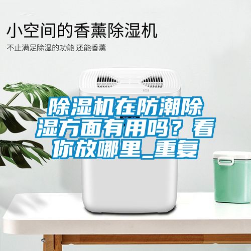 除濕機在防潮除濕方面有用嗎？看你放哪里_重復