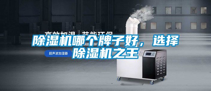 除濕機哪個牌子好，選擇除濕機之王